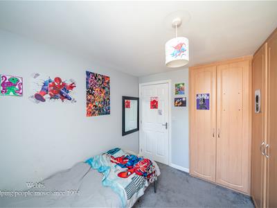 Picture 24